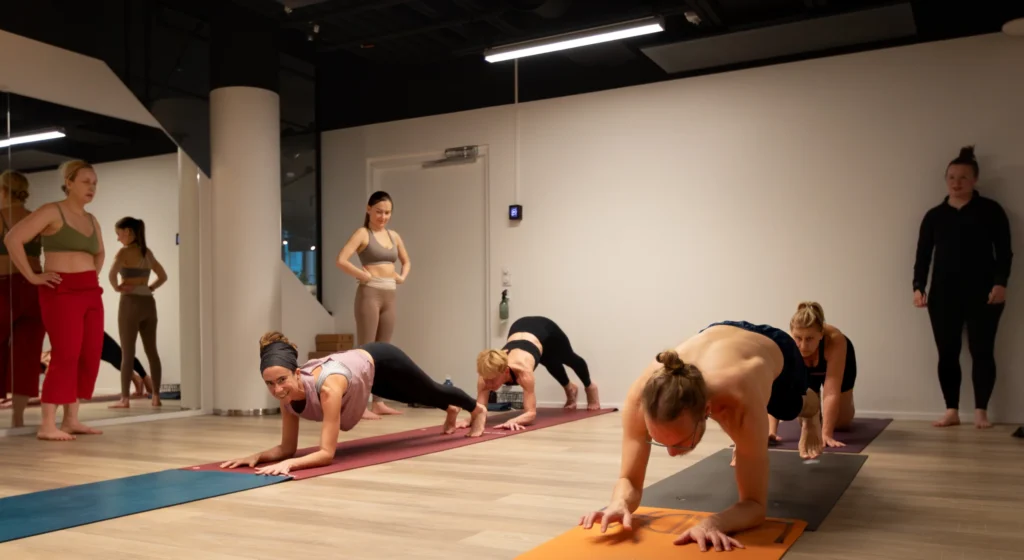 Several yoga practitioners holding a forearm plank (Dolphin Plank) during a workshop.